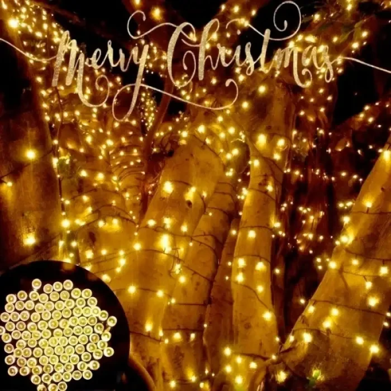 Новорічна вулична світлодіодна гірлянда 10cм 100led із сонячною панеллю вологозахищені лампи Лінза діод SFK-16 Warm white Новорічна вулична світлодіодна гірлянда 10cм 100led із сонячною панеллю вологозахищені лампи Лінза діод SFK-16 Warm white