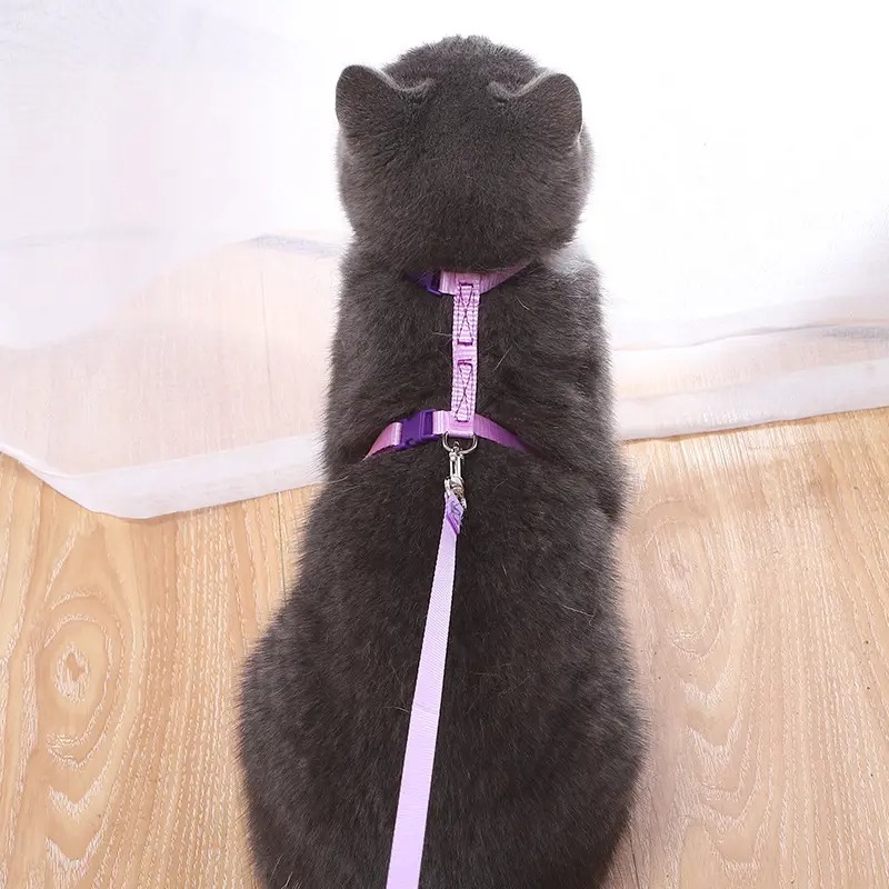 Шлей с поводком для кошек для мелких и средних пород Taotaopets 176602 Purple