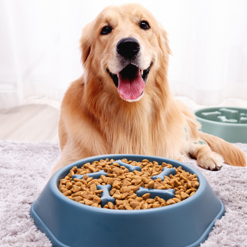 Миска для котів та собак для повільної годування їжі Slowly Swallow Blue (119905)
