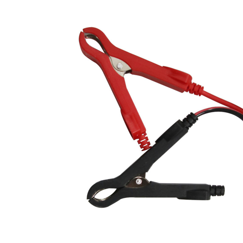 Зарядний пристрій для акумулятора з дисплеєм Easy Charge 12/24V 10A Блакитний (S1069)